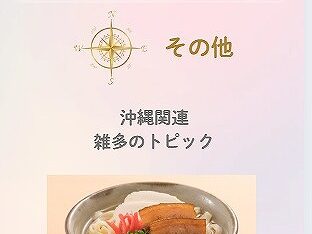 キャプチャ_2025_09_28_17_48_42_926